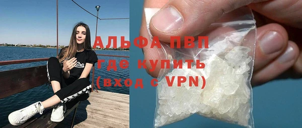 шишки Богородицк