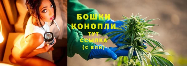 шишки Богородицк