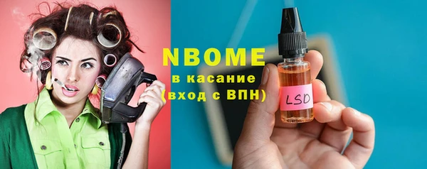 шишки Богородицк