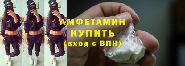 шишки Богородицк