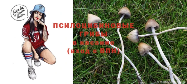 ешки Бронницы
