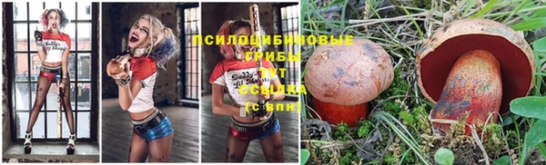 трава Бородино