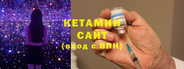 шишки Богородицк