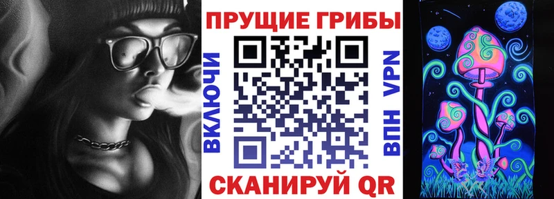 Галлюциногенные грибы GOLDEN TEACHER  закладка  Тула 